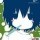 101022 child