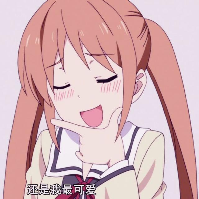 101371 小油菜