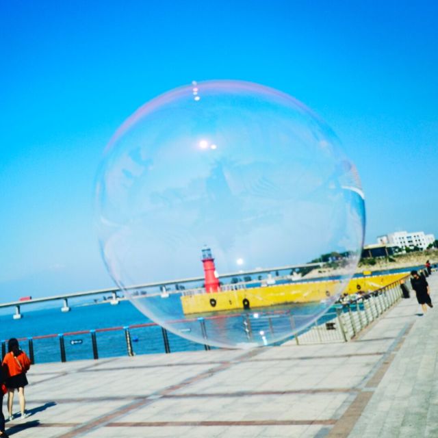 102125 特嘉-海光