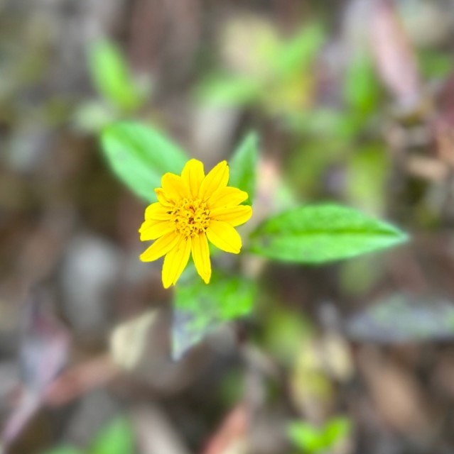 102458 畅想未来