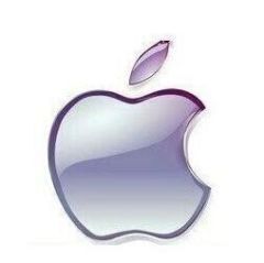 102495 Apple-苹果专卖店