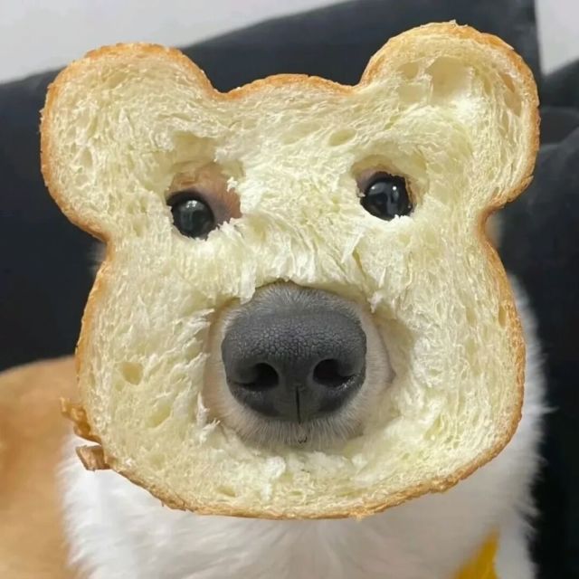 102587 天使