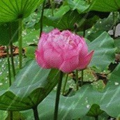 104251 爱后余生