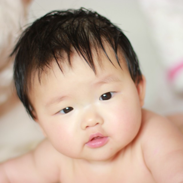 104459 东海寻美人