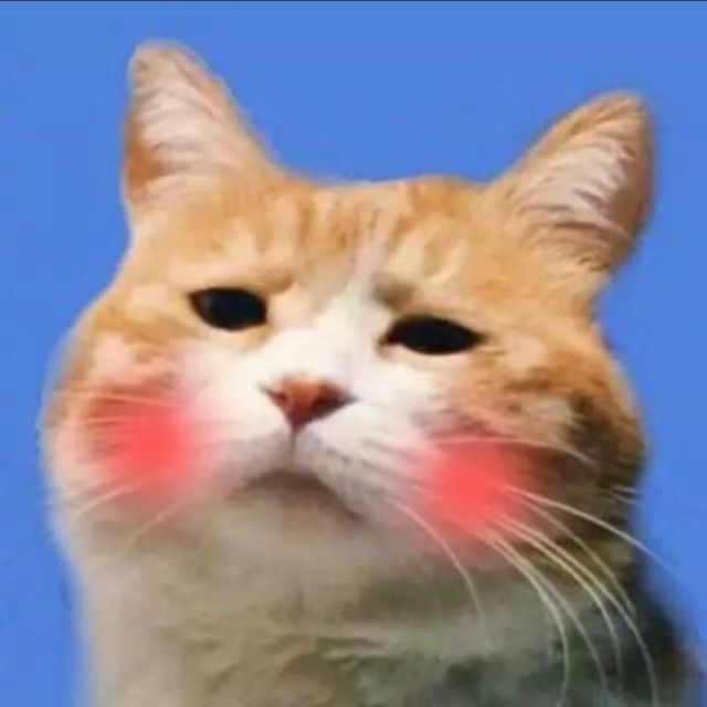 105274 ゛ ✿ 迎风向前。