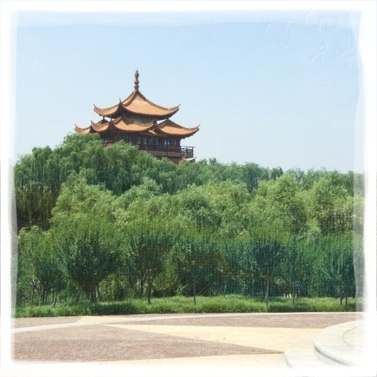 105356 王伟