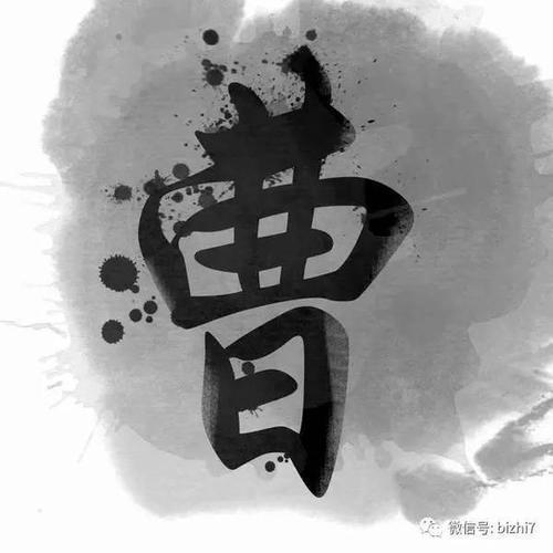 105454 跳崖自杀的鹰