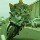 106068 老猫