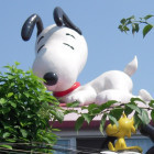 1063734 灏