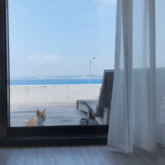 1063799 希望把我引向深渊。
