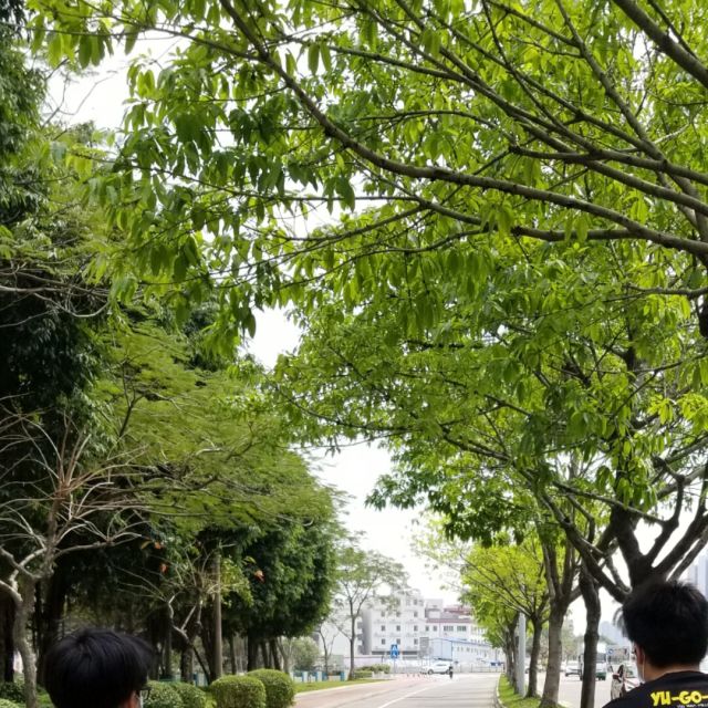 1063801 Yan