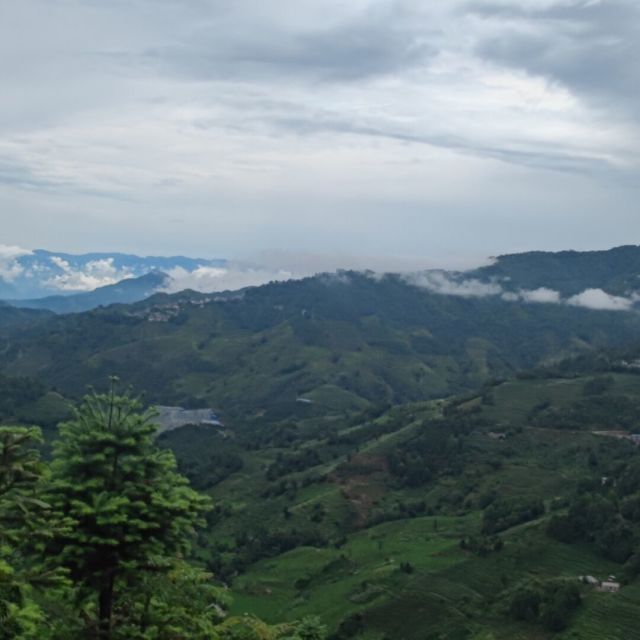 1063966 阿峰
