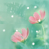 1065220 Nicole