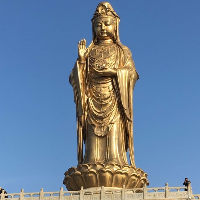 1065588 丰度
