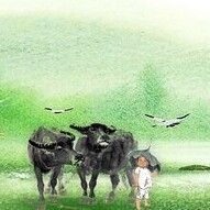 1066148 零点