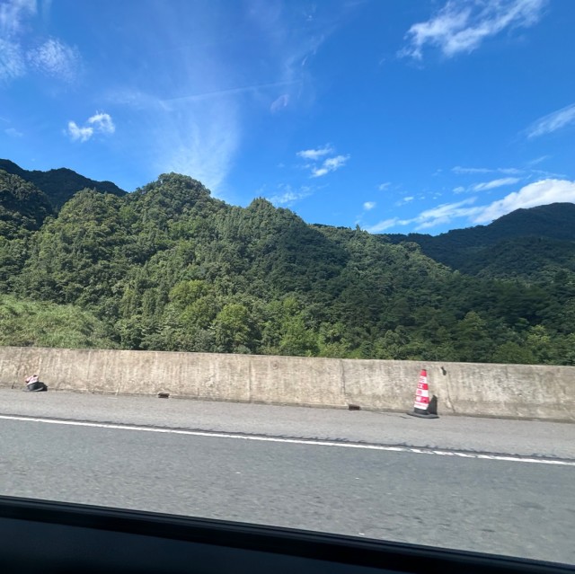1066156  邓杉
