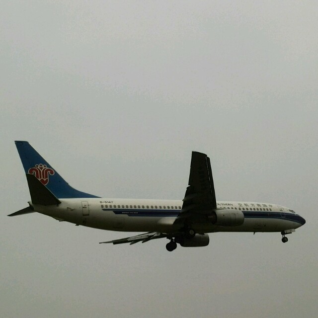 1066397 阿雷