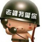 1067036 虫兒飛