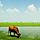 106772 EURO-LINK
