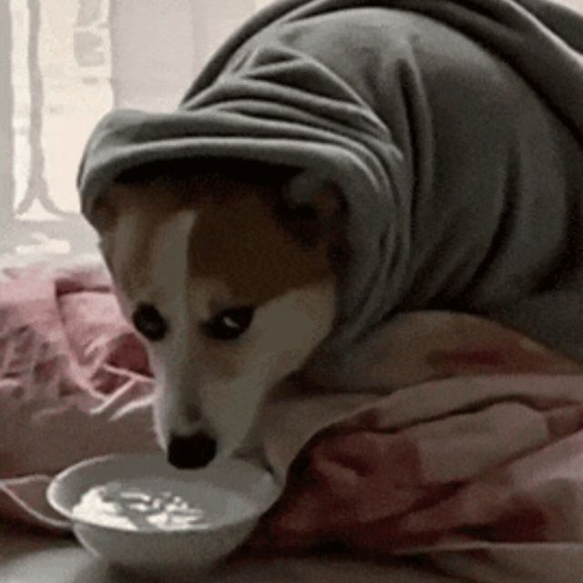 1068148 