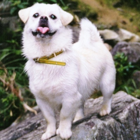 106823 生命