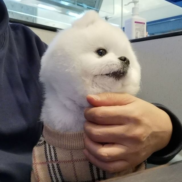 1068600 沪-蔡建