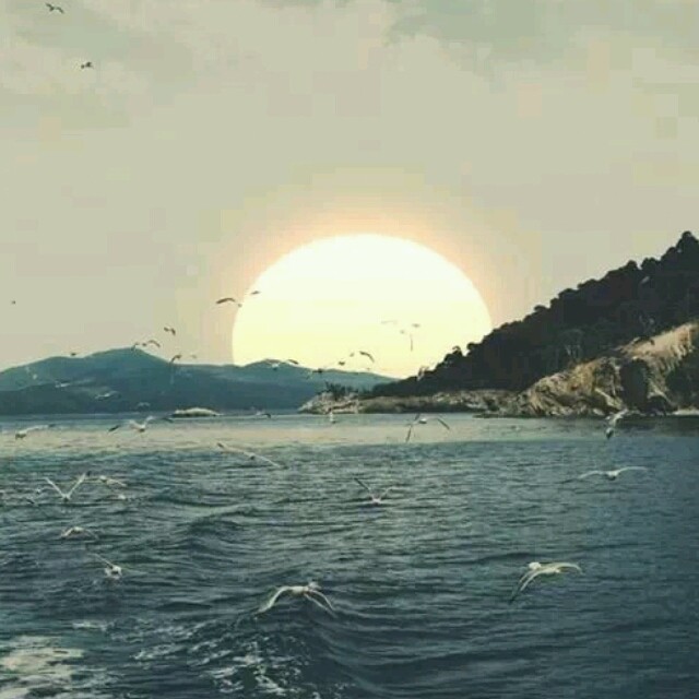 1068795 瀟灑