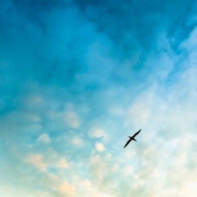 1068836 天空
