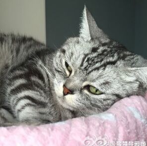 106897 子不我思