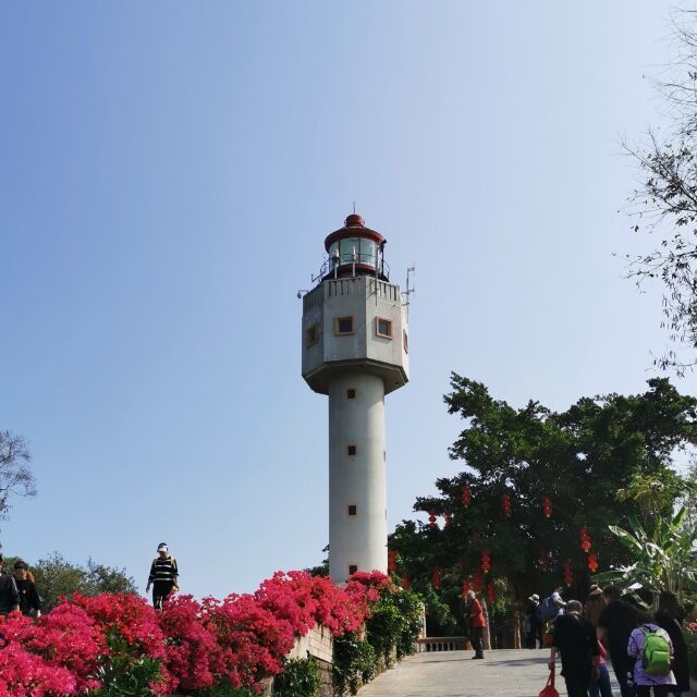 1069018 最爱ee