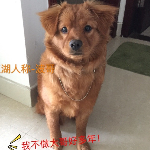 1069041 HUANG