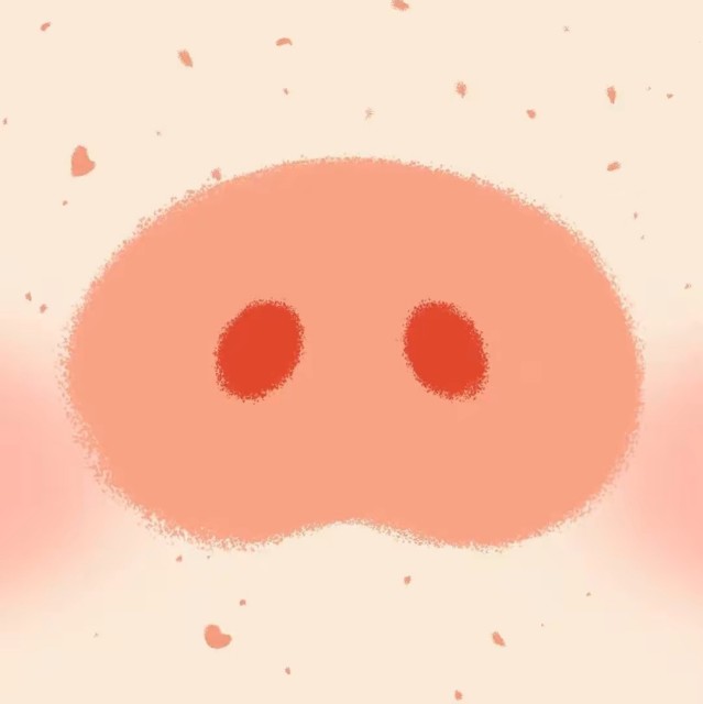 1069287 哼哼