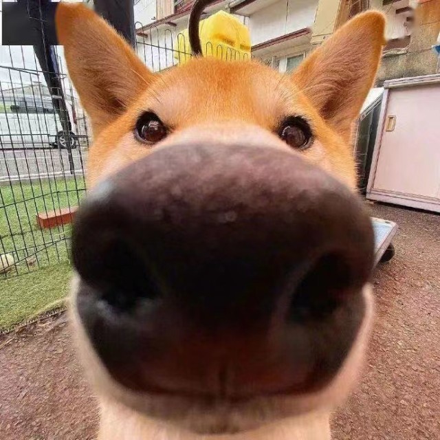 1069444 L p 