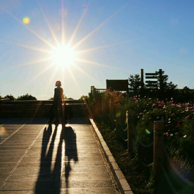 1070347 肖锁锁