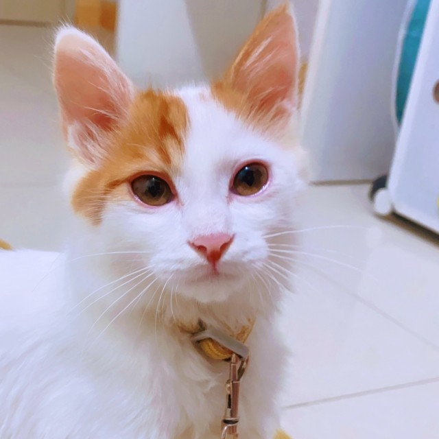 1070707 玻璃屋