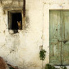 1071407 hodisp