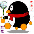 1071457 狼老大