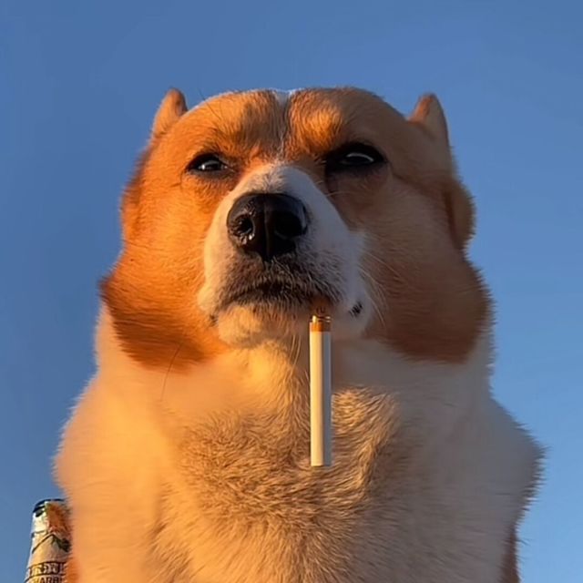 1071476 浮生丶E⑥