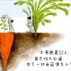 1071526 草根