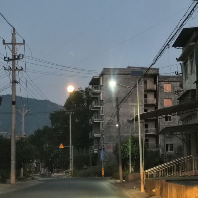 1071530 多多