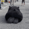 1071695  灰灰ヽ 