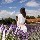 1071846 Vivien