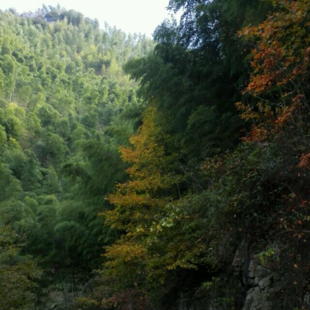 1072136 化学 赵如