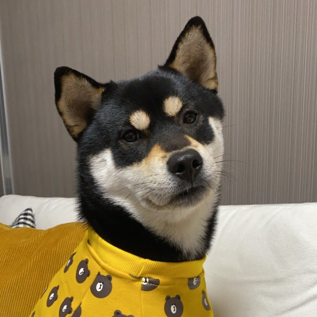 1072173 赵宏阳