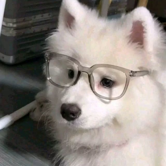 1072477 ❦₯㎕ζ半夏半暖半倾城ღ