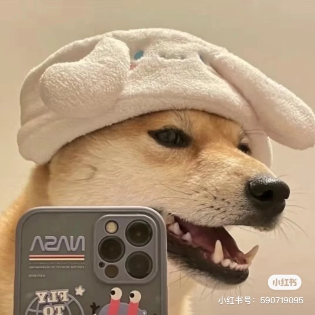 1072881 漠然╰╮