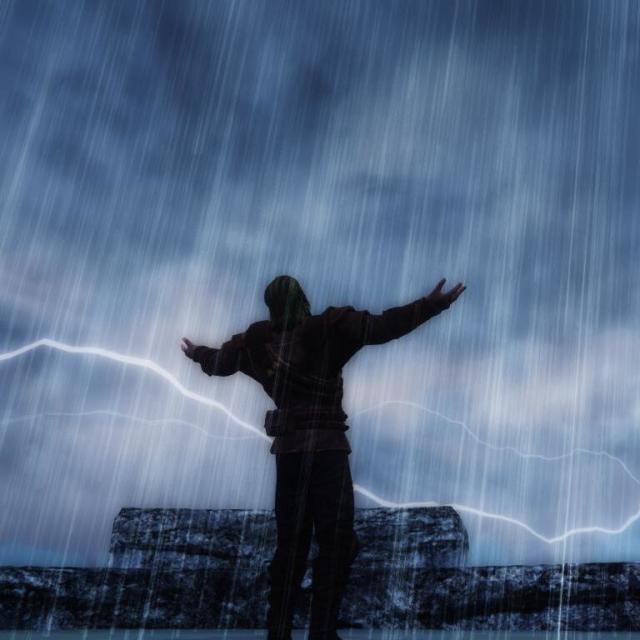 1073802 风雨之王