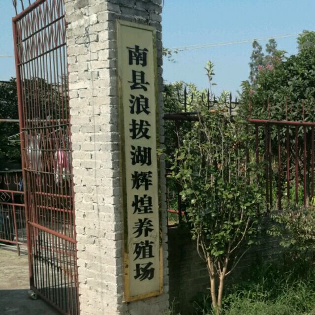 1074167 法专-肖艺文