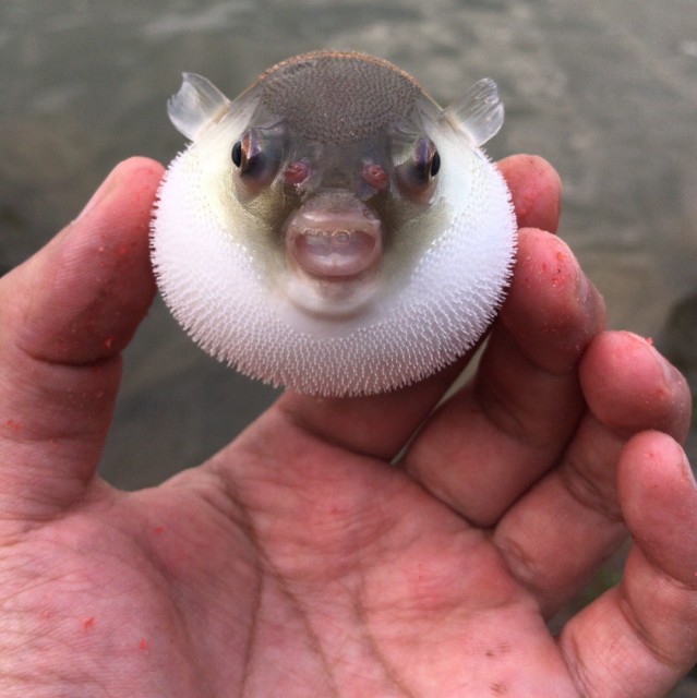1075198 ≯飘渺云帆≮