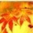 1075770 花好月圆